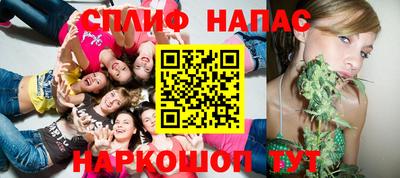 индика Новоалександровск